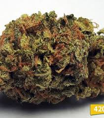 THC-A Flower Pick Of The Day (A)