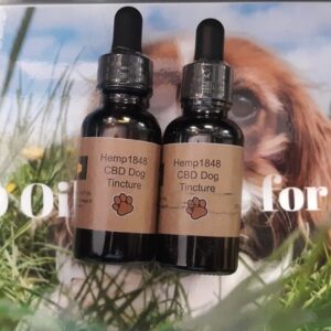 🐾 ANXIOUS & AGING CBD FURRY FRIEND TINCTURE (2 OZ) 🦴