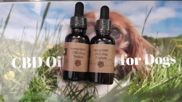 🐾 ANXIOUS & AGING CBD FURRY FRIEND TINCTURE (2 OZ) 🦴
